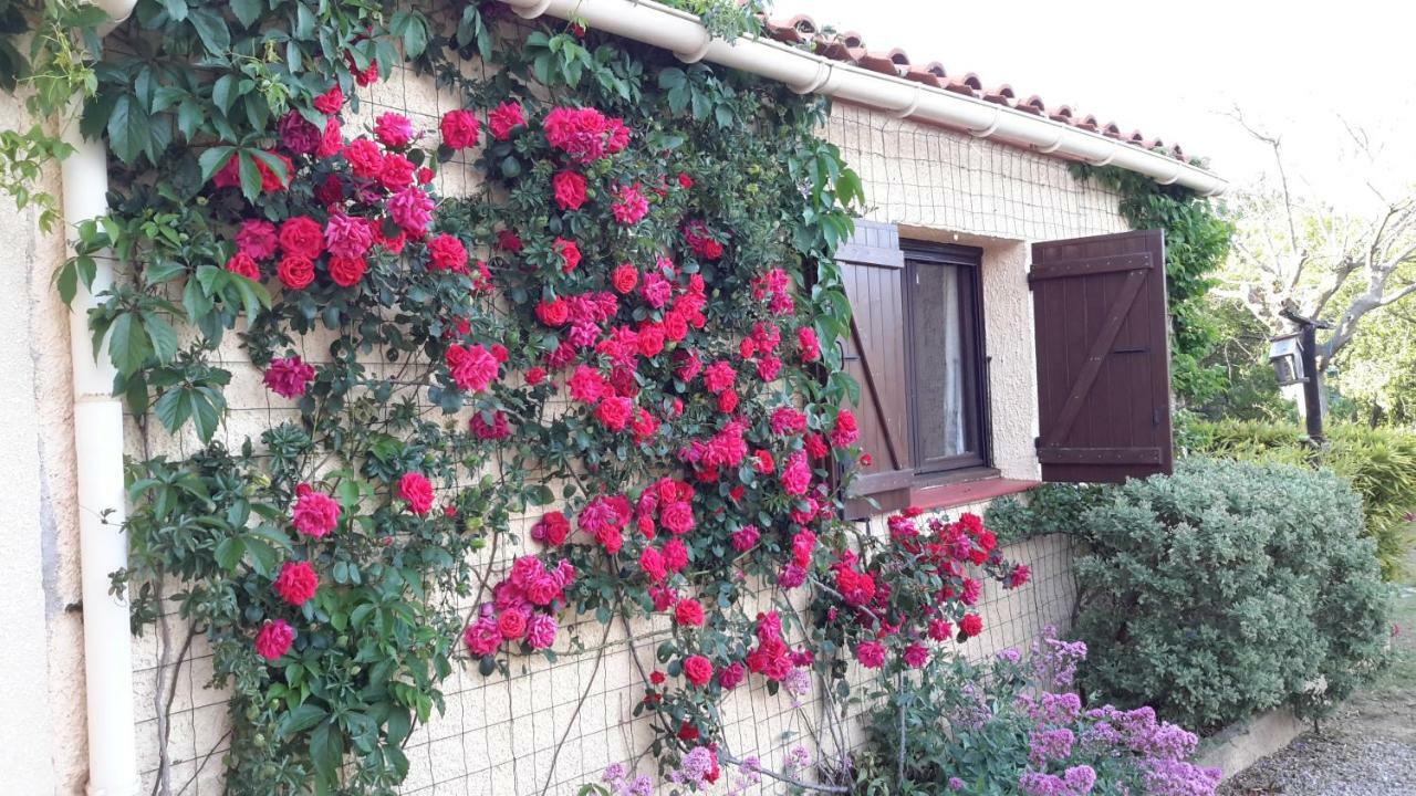 La Pantoufle Verte Montauriol  Exterior foto